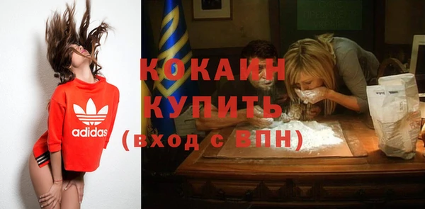 спиды Няндома
