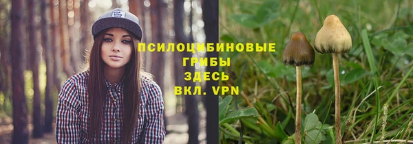 спиды Няндома