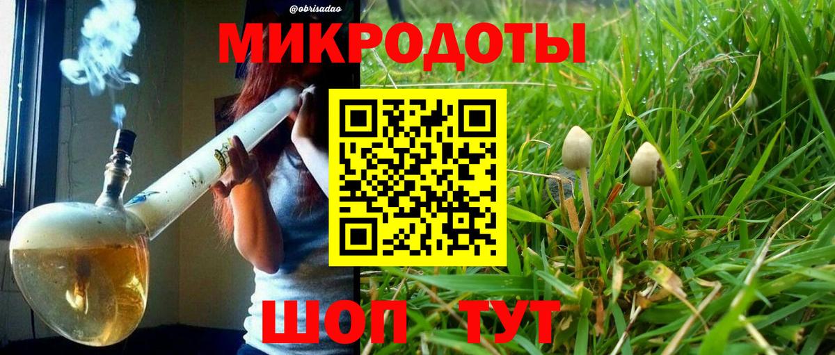 Галлюциногенные грибы ЛСД Балтийск
