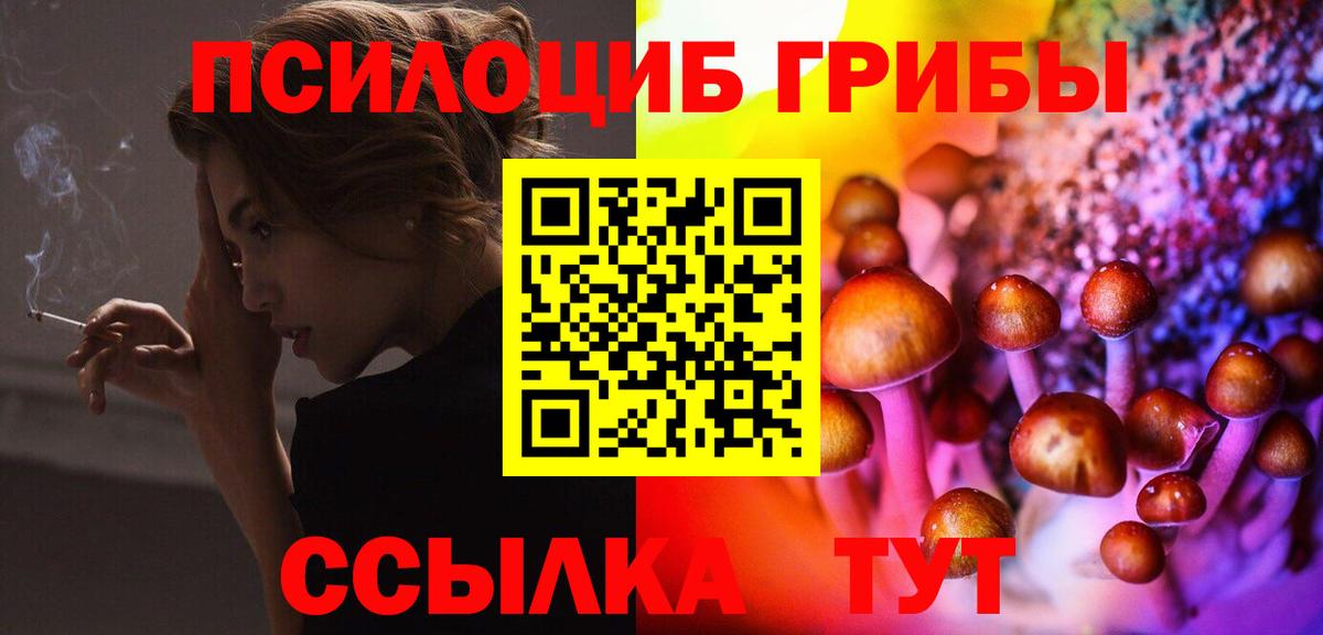 Балтийск  Галлюциногенные грибы Psilocybe  Псилоцибиновые грибы MAGIC MUSHROOMS  Вход с VPN 