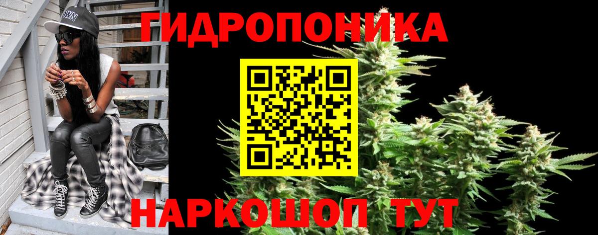 Бошки марихуана LSD WEED  Бошки Шишки LSD WEED  Вход с VPN  Каннабис семена  Марихуана марихуана  Балтийск 